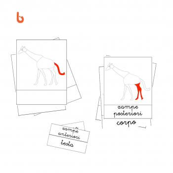 Nessuna immagine impostata 